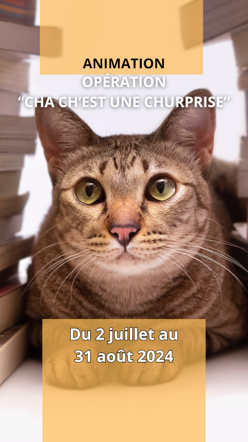 ANIMATION "Cha ch'est une churprise"
